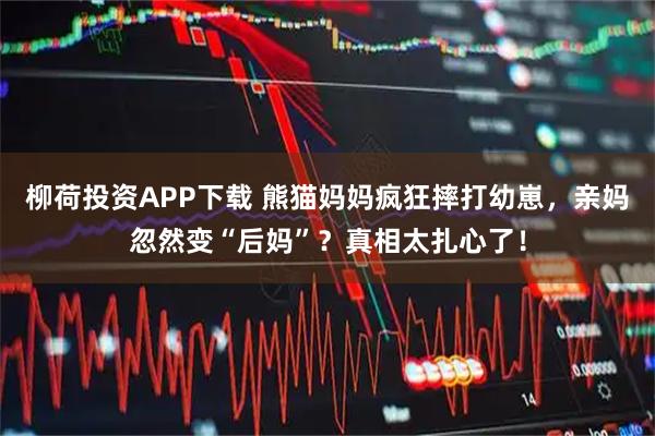 柳荷投资APP下载 熊猫妈妈疯狂摔打幼崽，亲妈忽然变“后妈”？真相太扎心了！